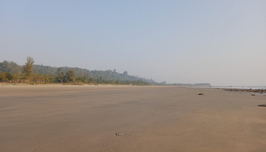 ডলার আয়ে পর্যটন খাত